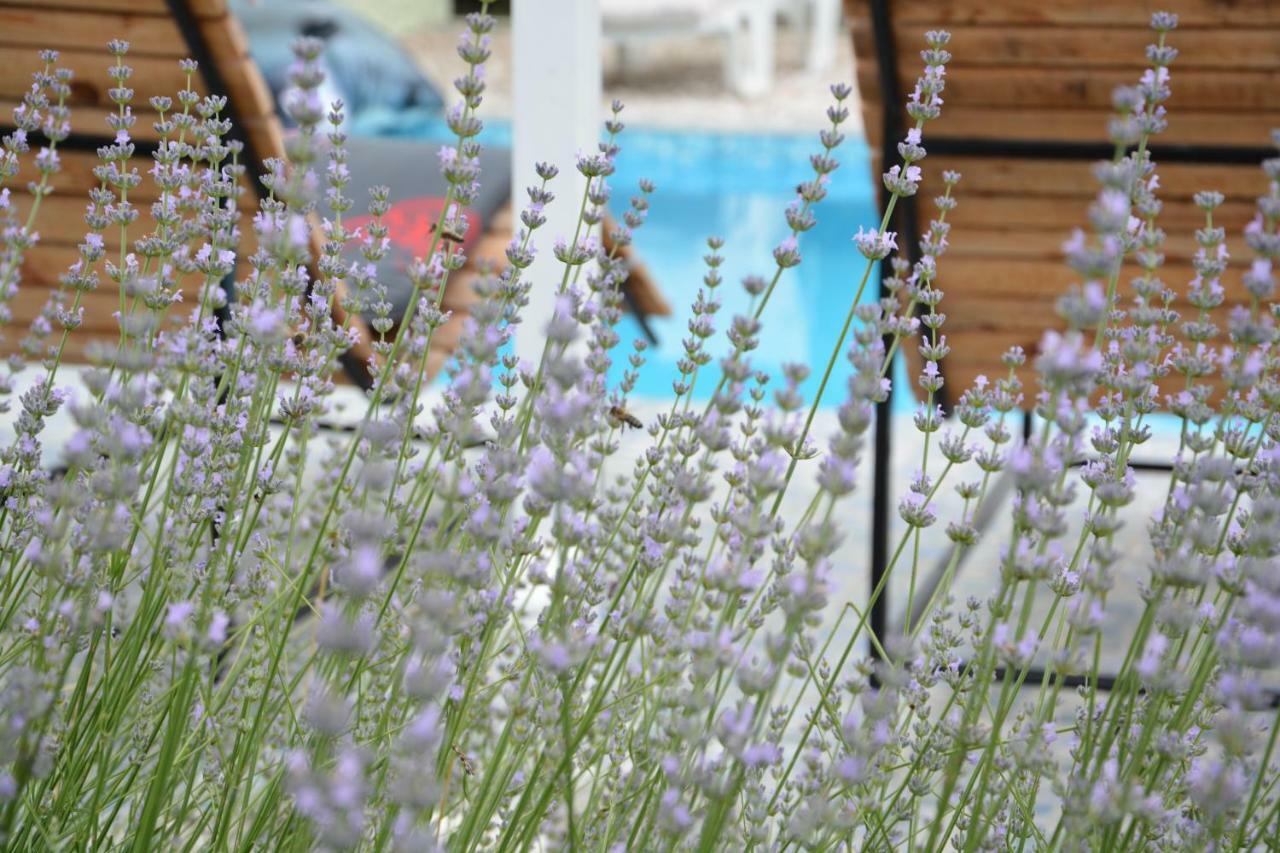 Villa Iva Kraj (Split) Exterior foto